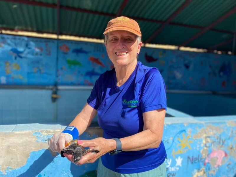 cleaning turtles Bali