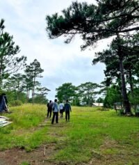 environment conservation