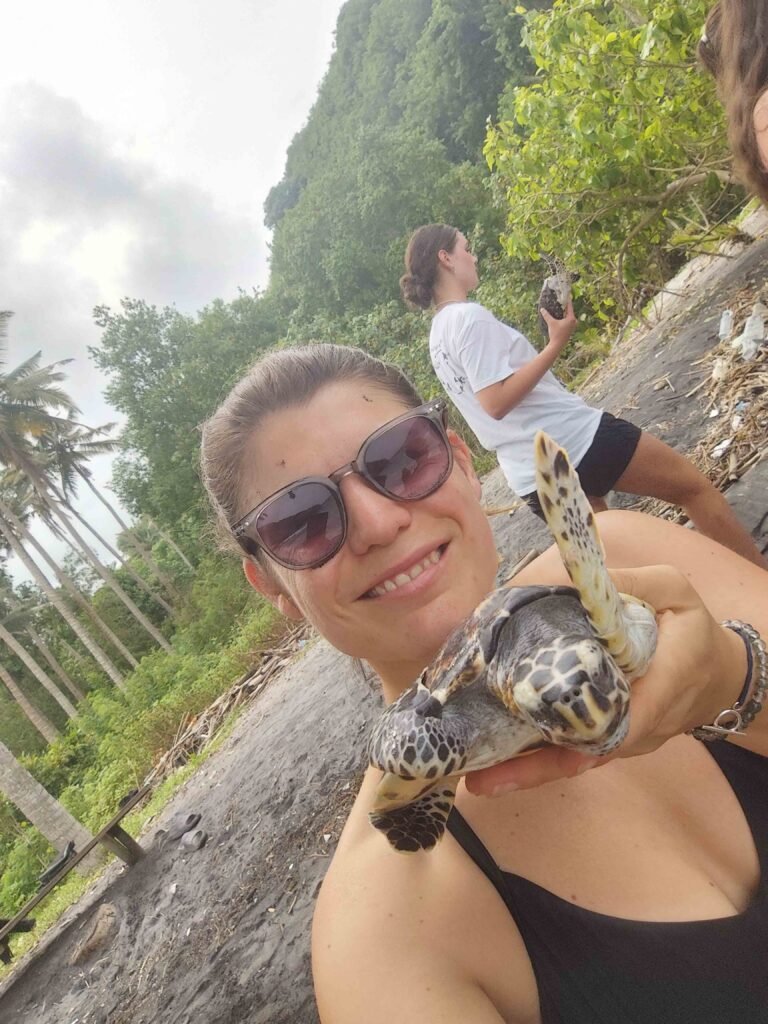 holding turtle