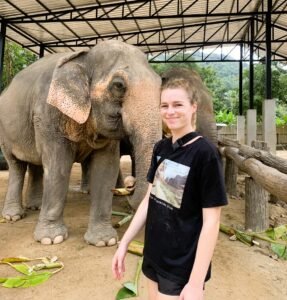 Koh Samui Elephant Care