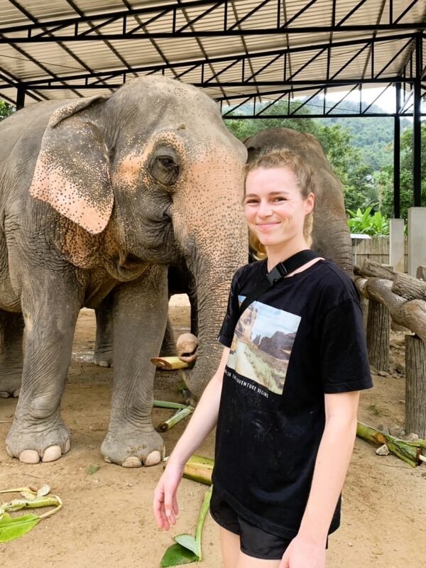 Koh Samui Elephant Care