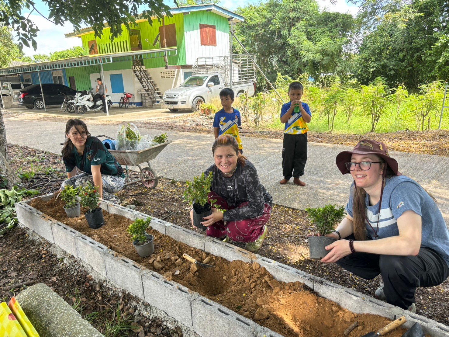 planting seedlings in thailand