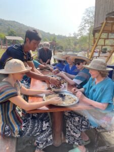 volunteer with elephants