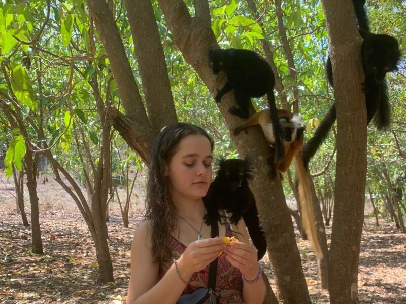 volunteer with lemurs