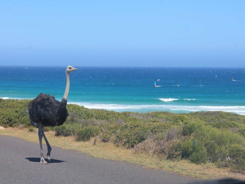 beach on Peninsula Tour