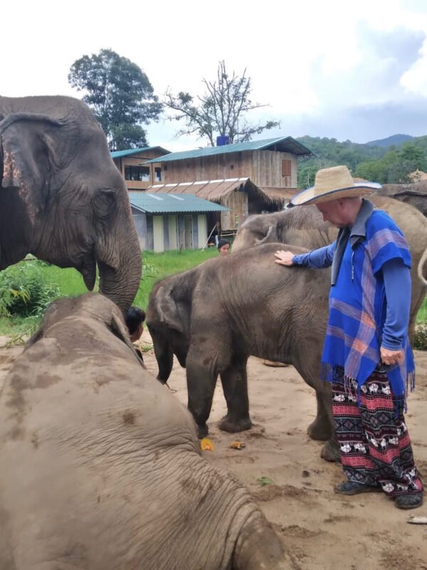 standing with elephants