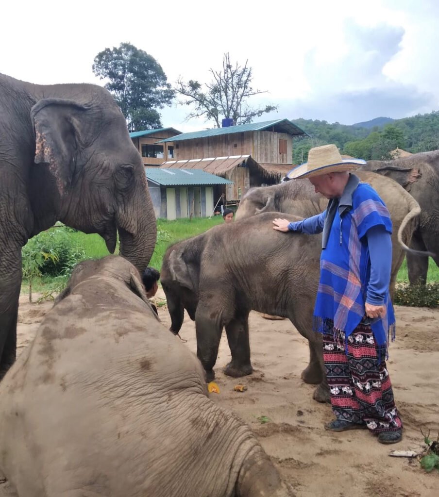 standing with elephants