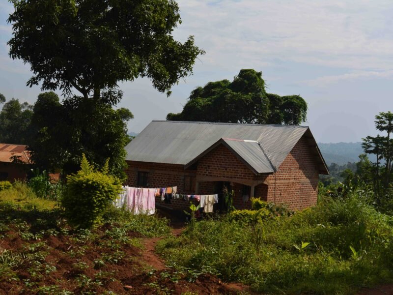 _Farm
