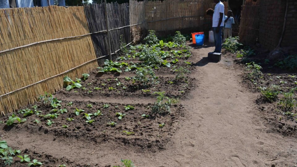 tree Nursery