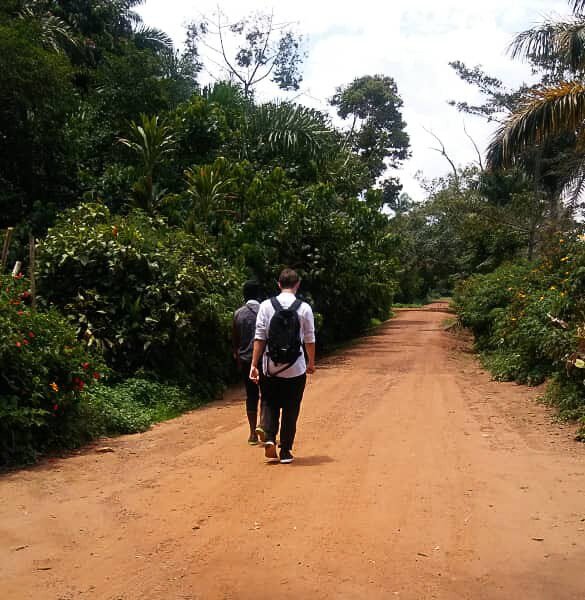 Touring around the Tarzan jungle in botanical gardens