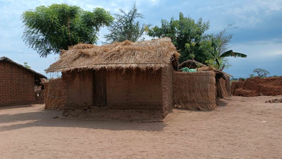 straw huts