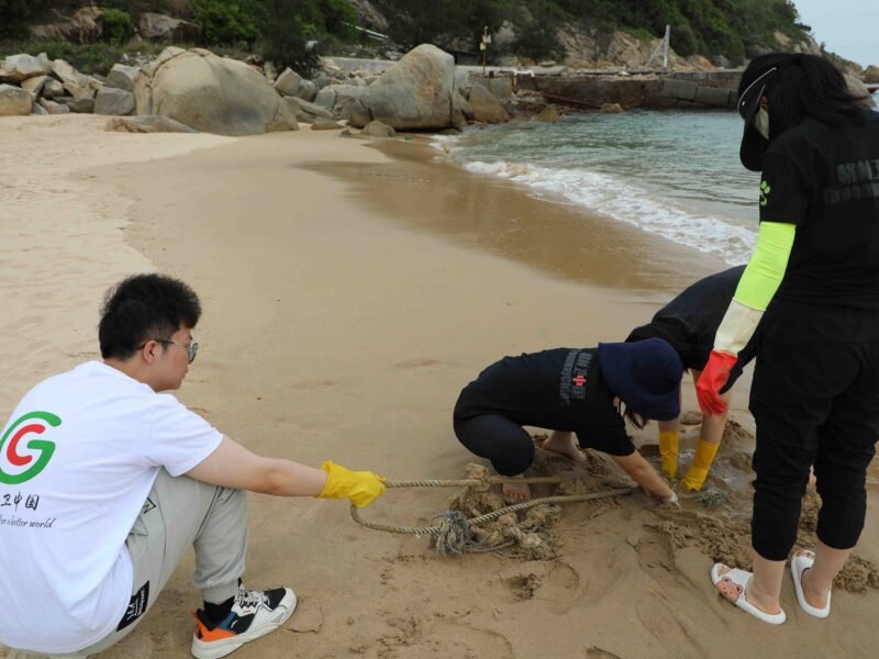 Beach cleaning