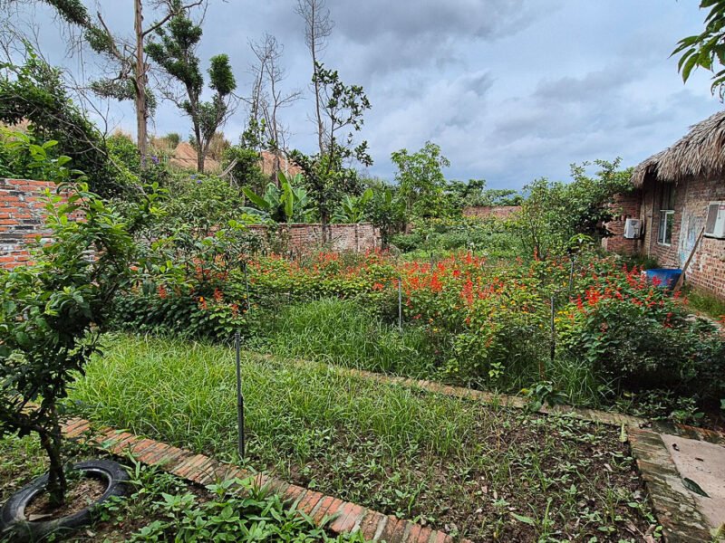 Compost Project