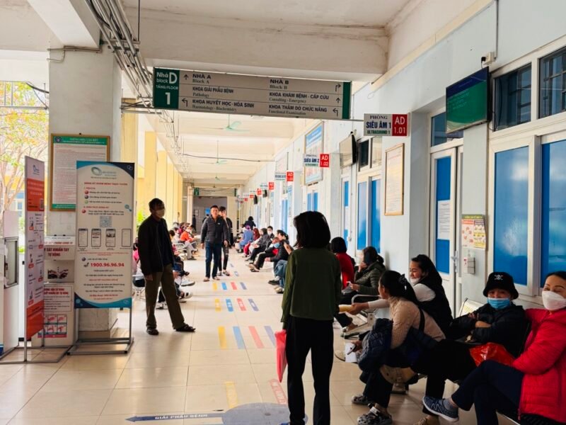Medical Placement Halong Bay