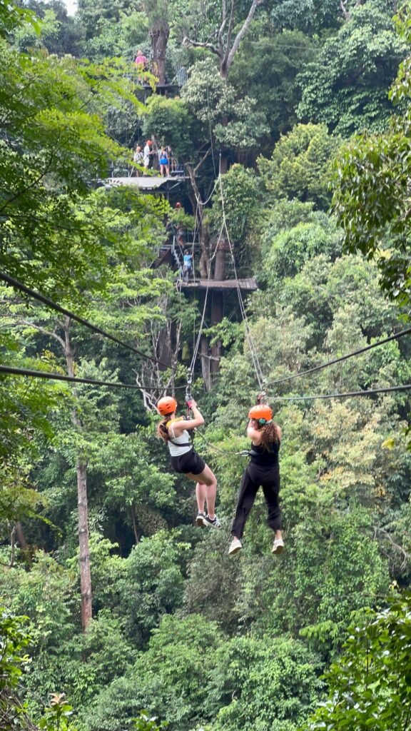 zip line