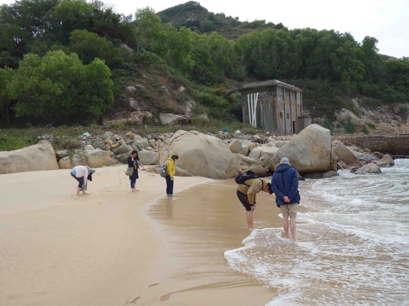 Participants at the beach