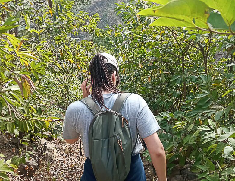 jungle trek