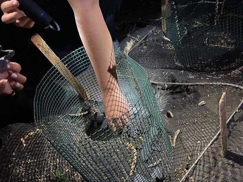 Working at the hatchery