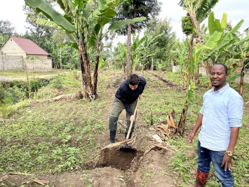 Arusha agriculture