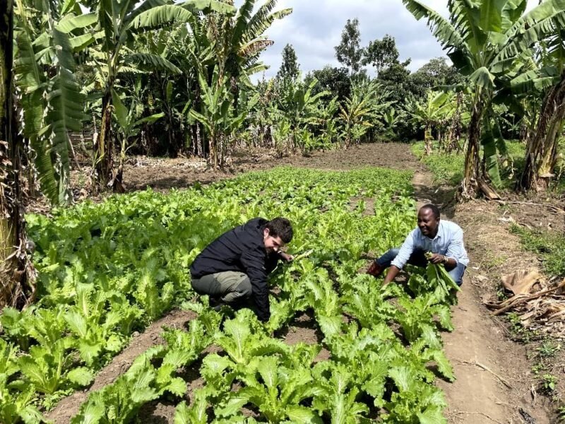 Arusha agriculture