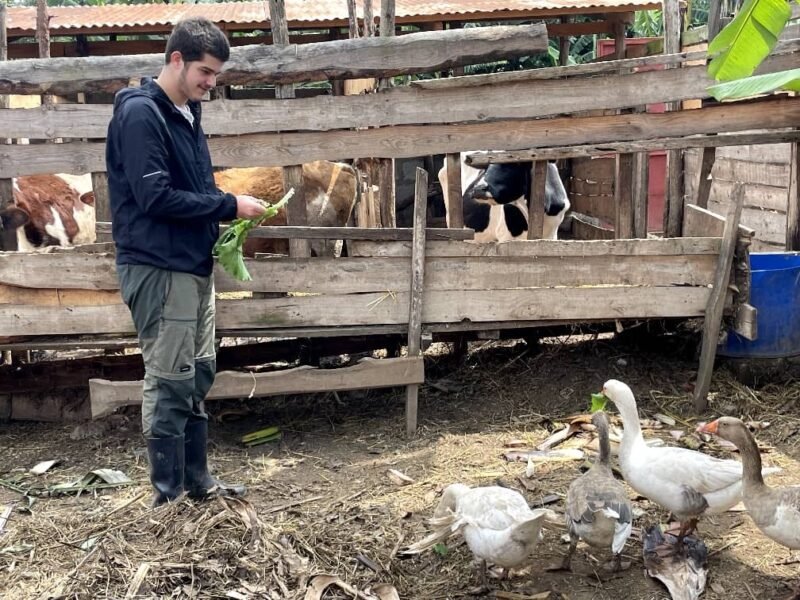 Arusha agriculture