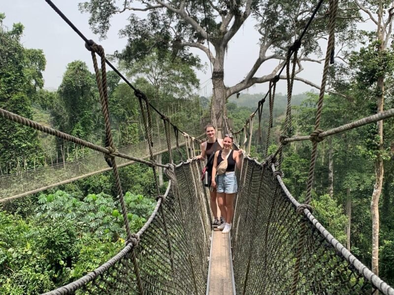 canopy walk