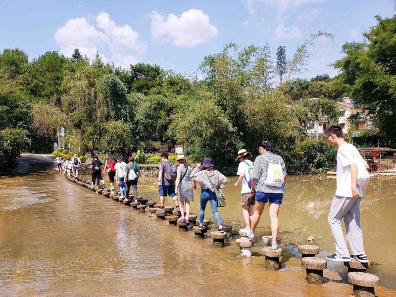 walking stepping stones