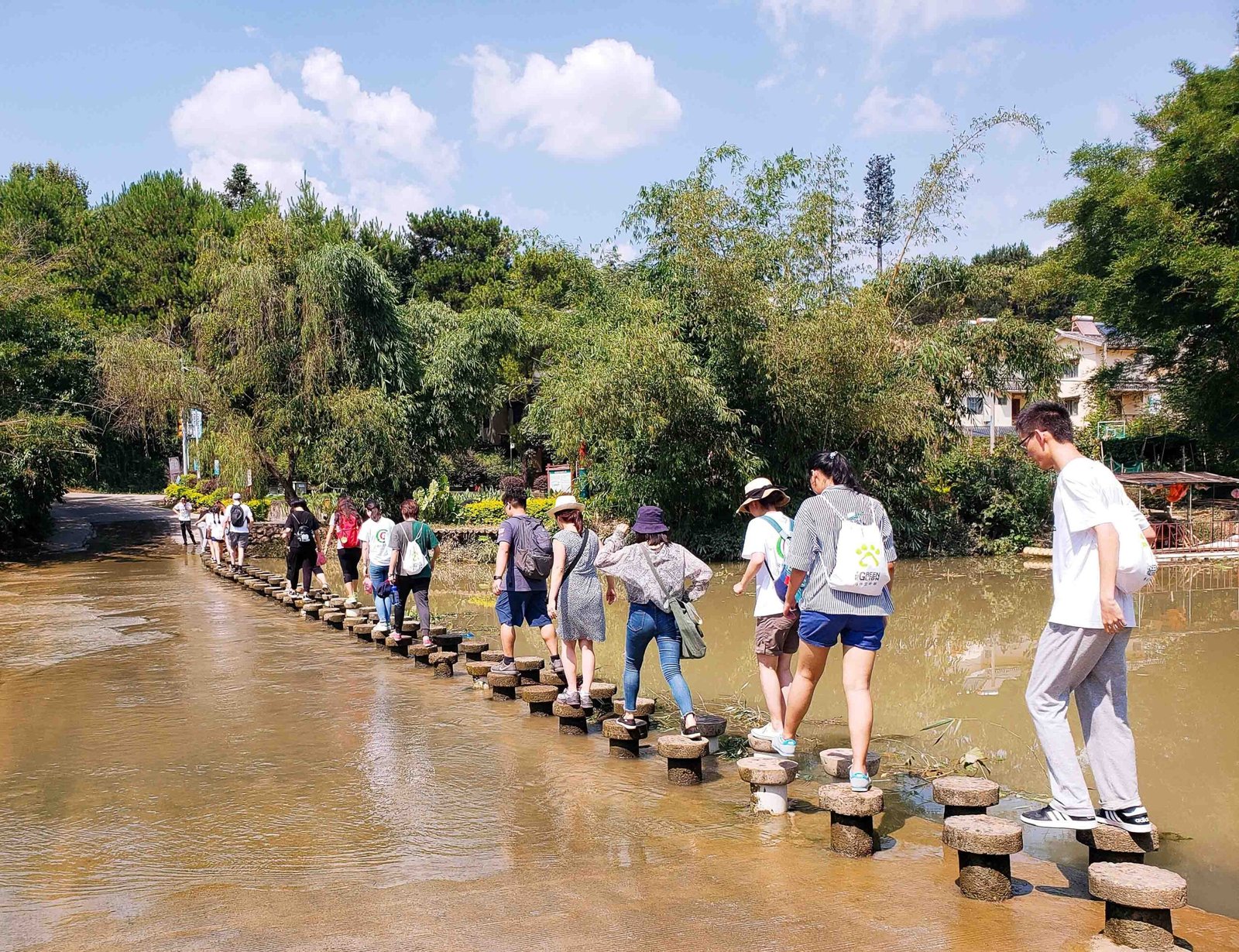 walking stepping stones