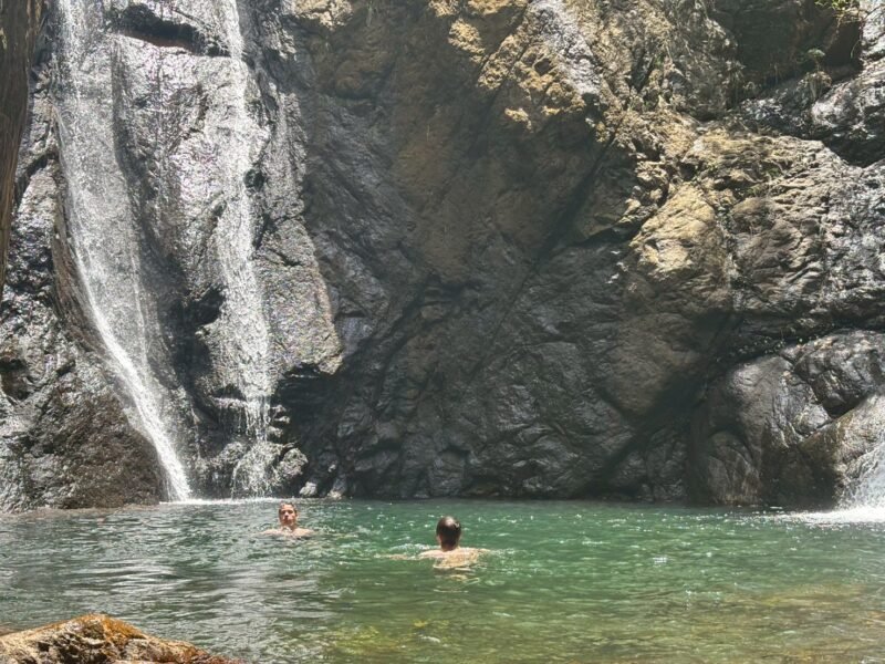swimming