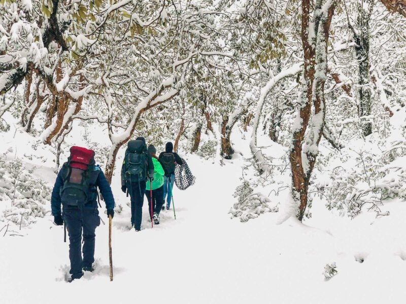 walking in snow