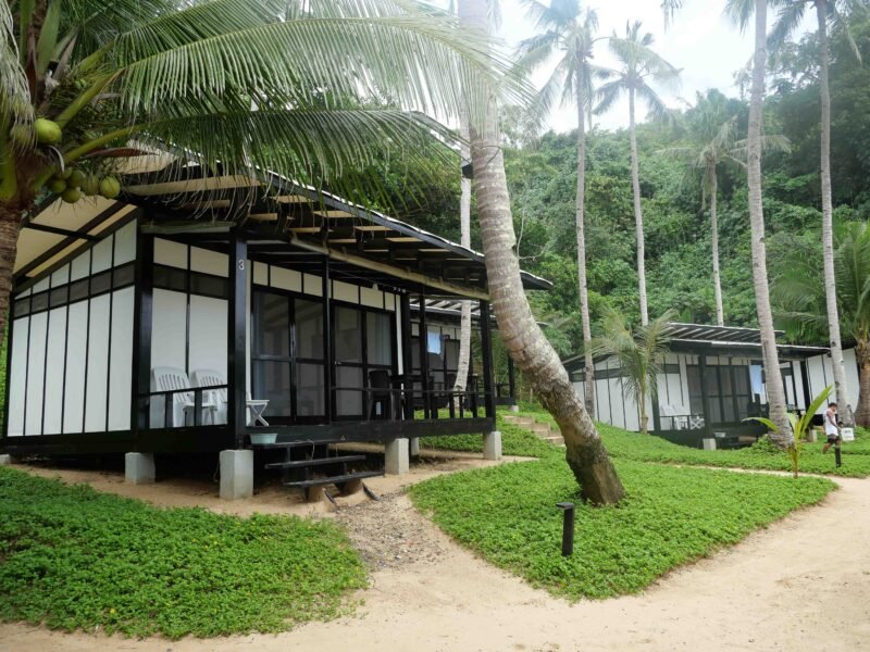 surf camp