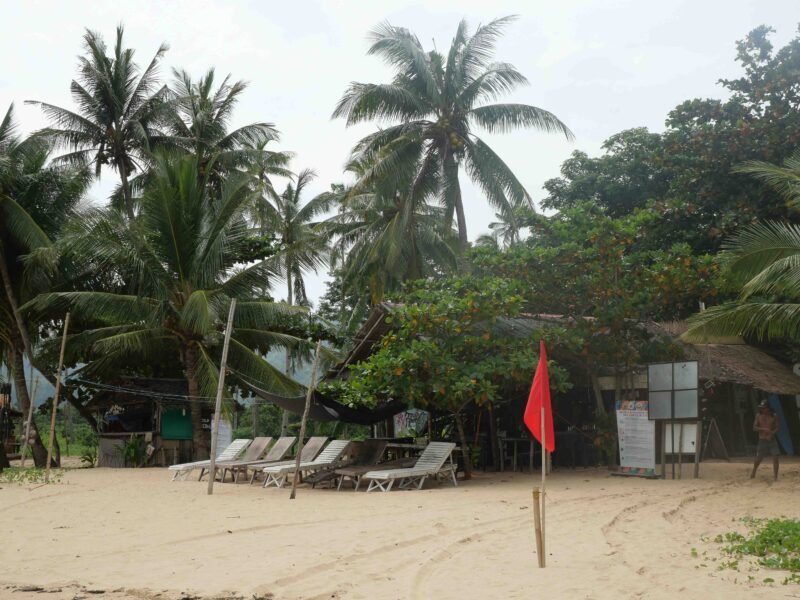 surf camp