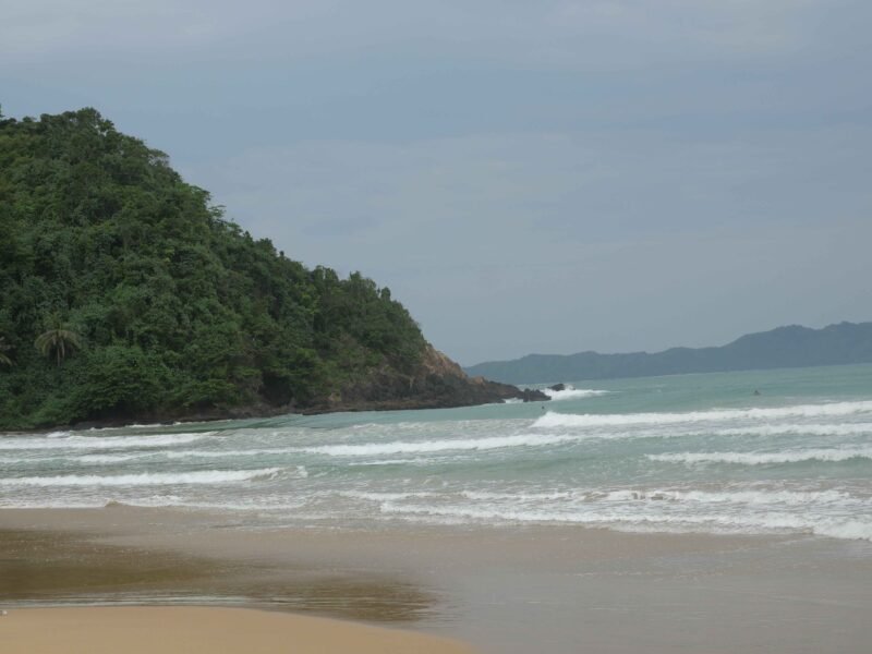 surf camp