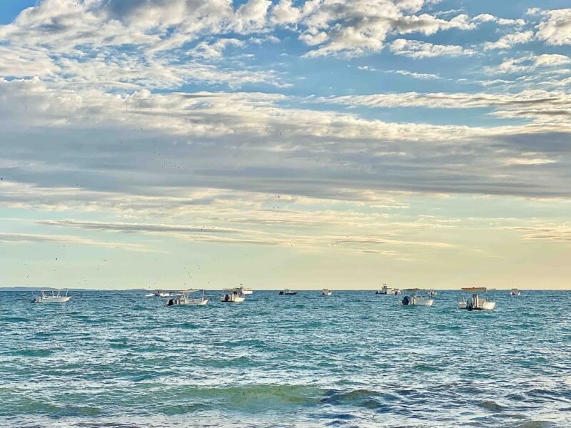 Beach & the Sea