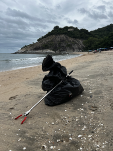 beach clean
