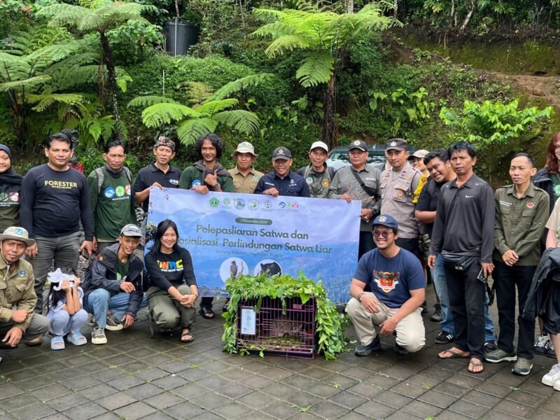 Bali Wildlife Rescue Center