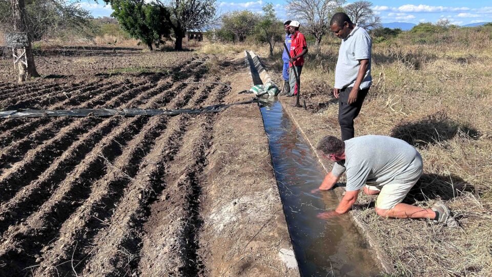 Construction and Renovation