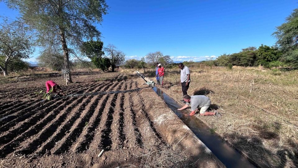 Construction and Renovation