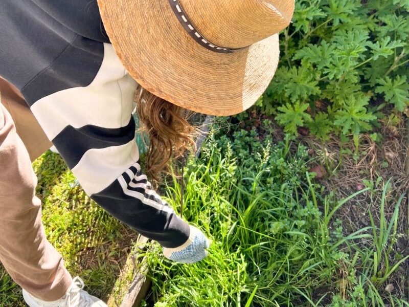 planting crops