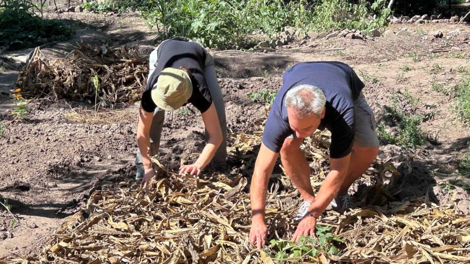 Environmental Conservation