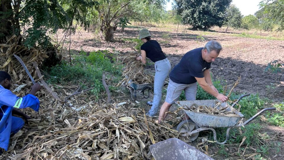 Environmental Conservation