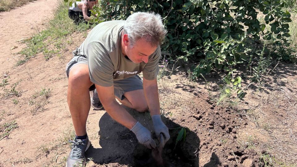 Environmental Conservation