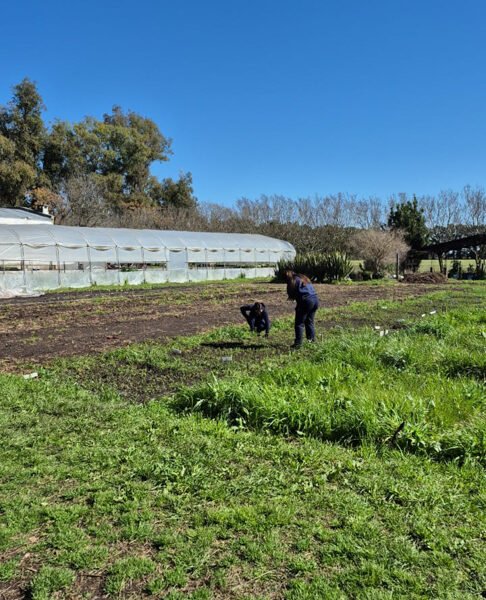 working in the field