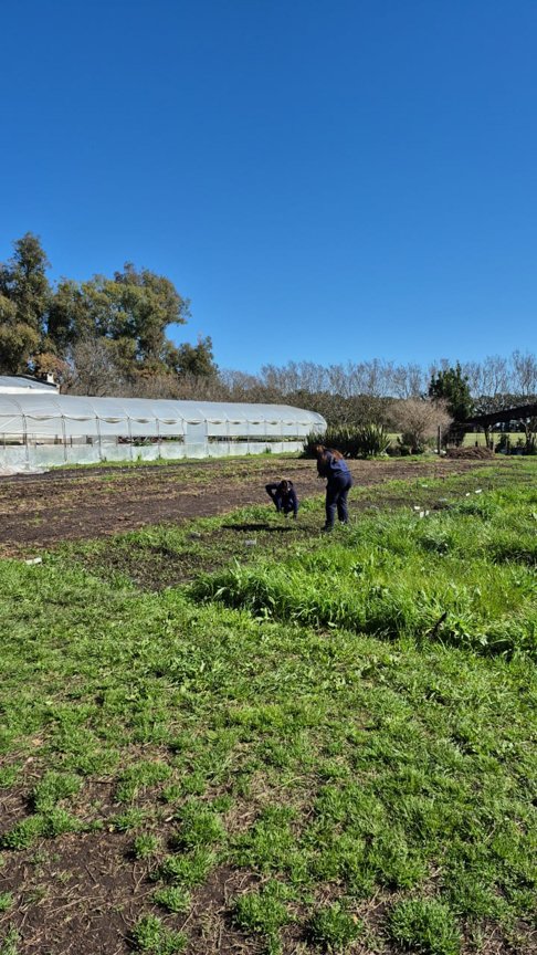 working in the field