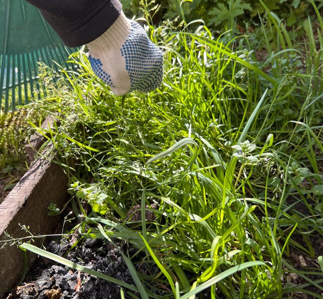 _Horticulture Program