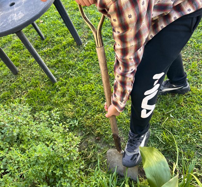 planting crops
