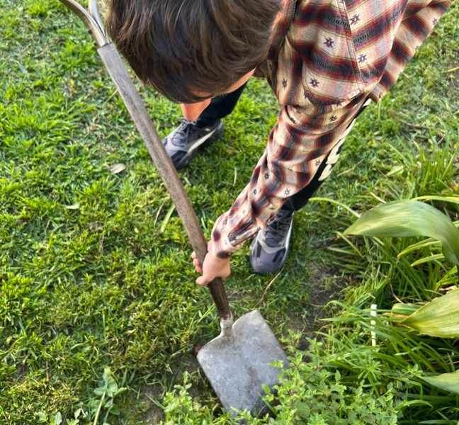 _Horticulture Program