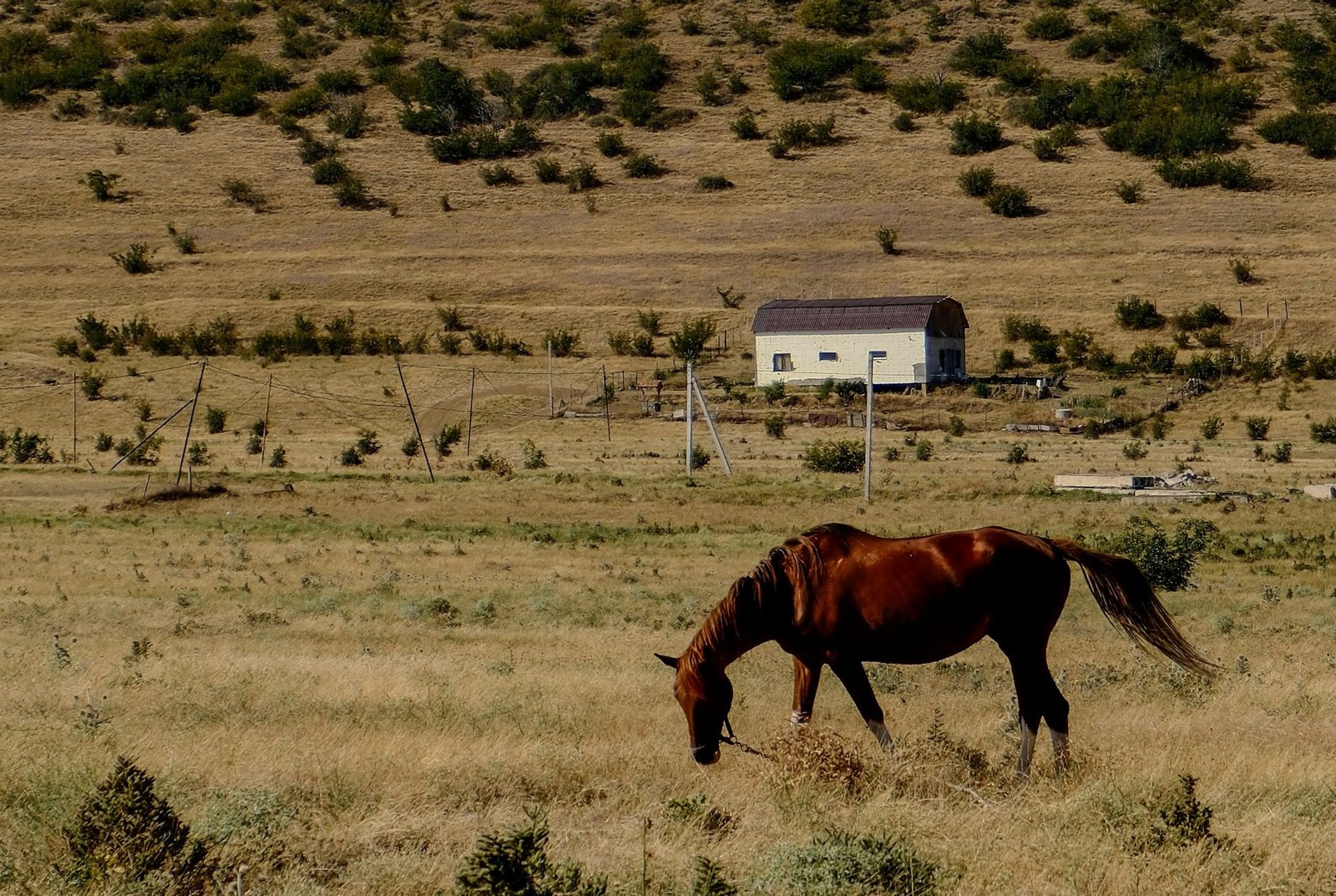 Rural Estancias