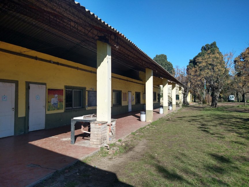 school