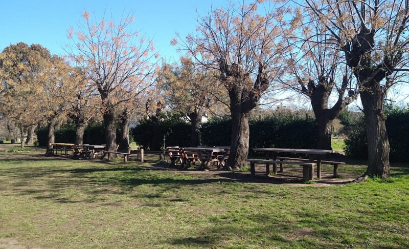 school grounds